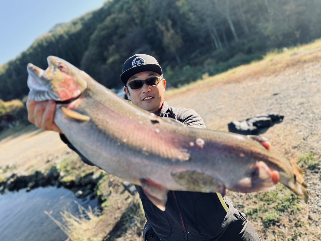 【頂鱒７５ｃｍ】全体