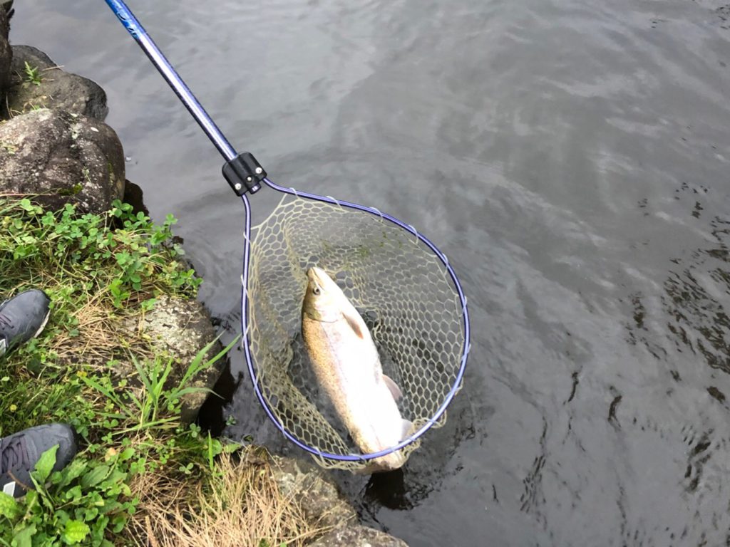 【ロックトラウト５５ｃｍ】全体
