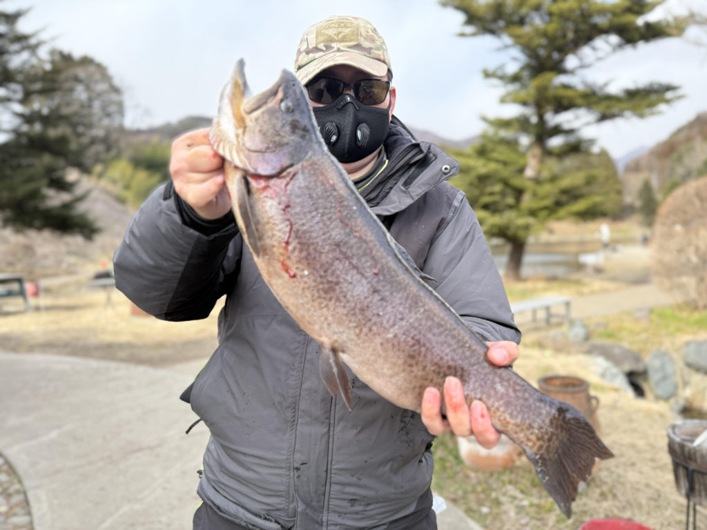 【驚ロック５８ｃｍ】全体