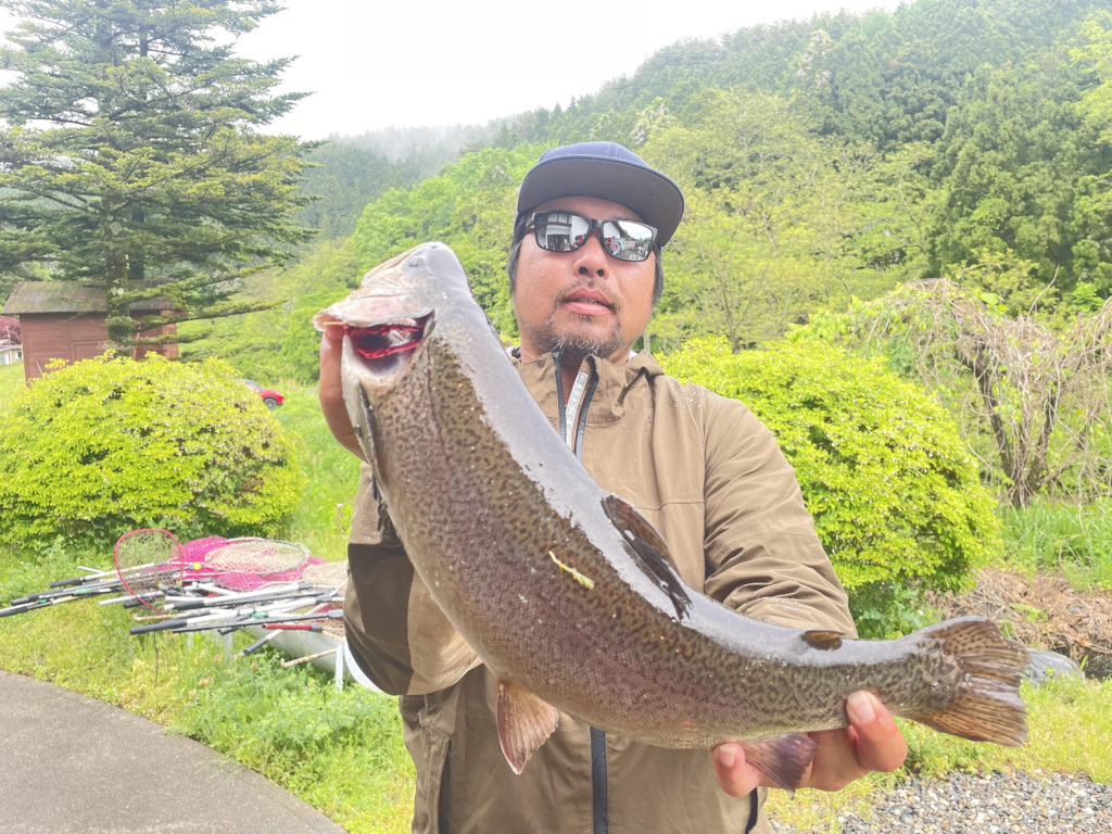 【驚ロック５３ｃｍ】全体