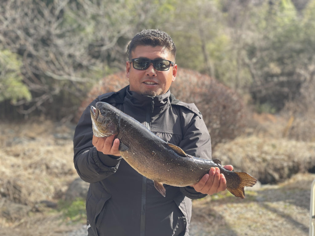 【驚ロック61cm】全体