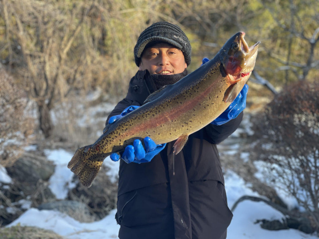 【頂鱒６２ｃｍ】全体