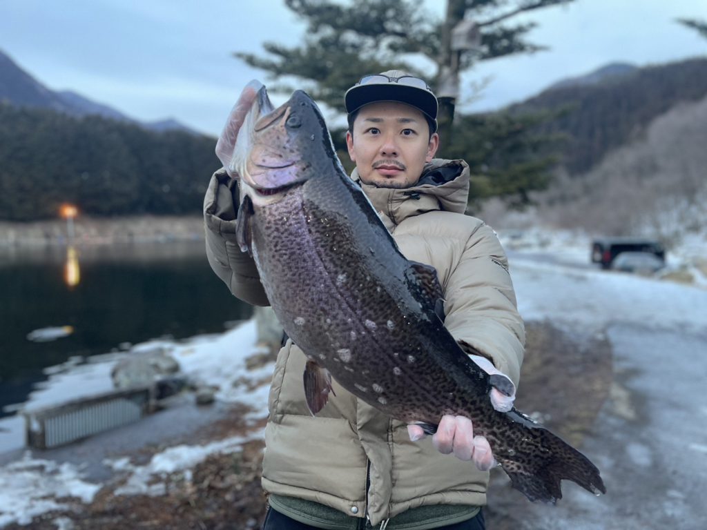 【驚ロック５５ｃｍ】全体