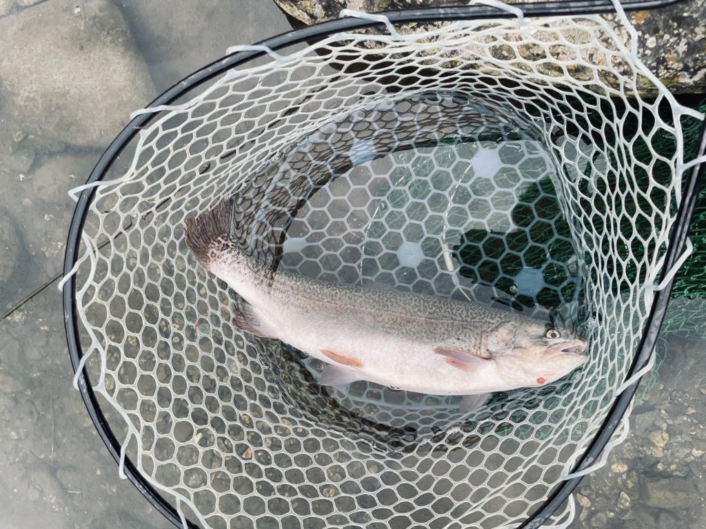 【驚ロック５４ｃｍ】全体