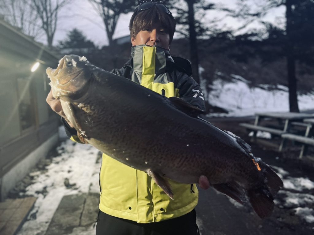 【驚ロック６４ｃｍ】全体