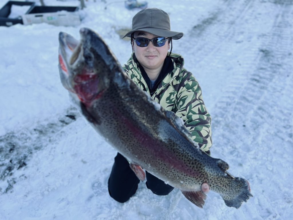 【頂鱒７５ｃｍ】全体