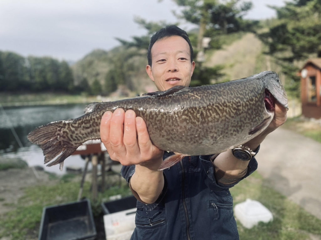 【驚ロック５０ｃｍ】全体