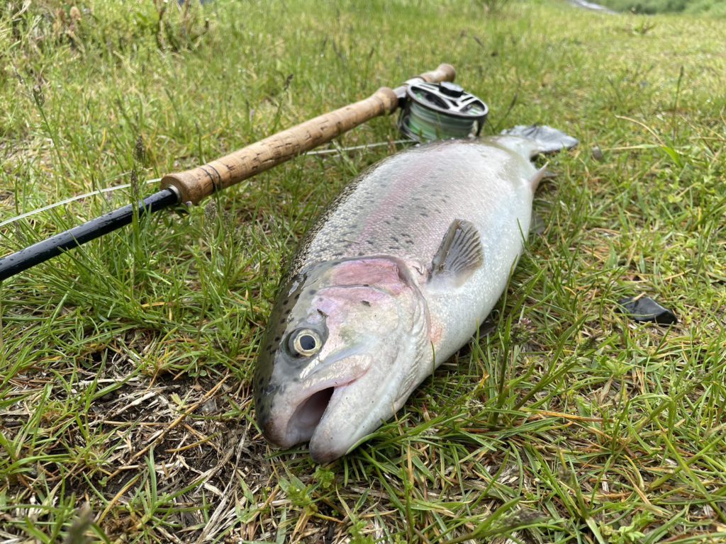 【頂鱒５７】全体