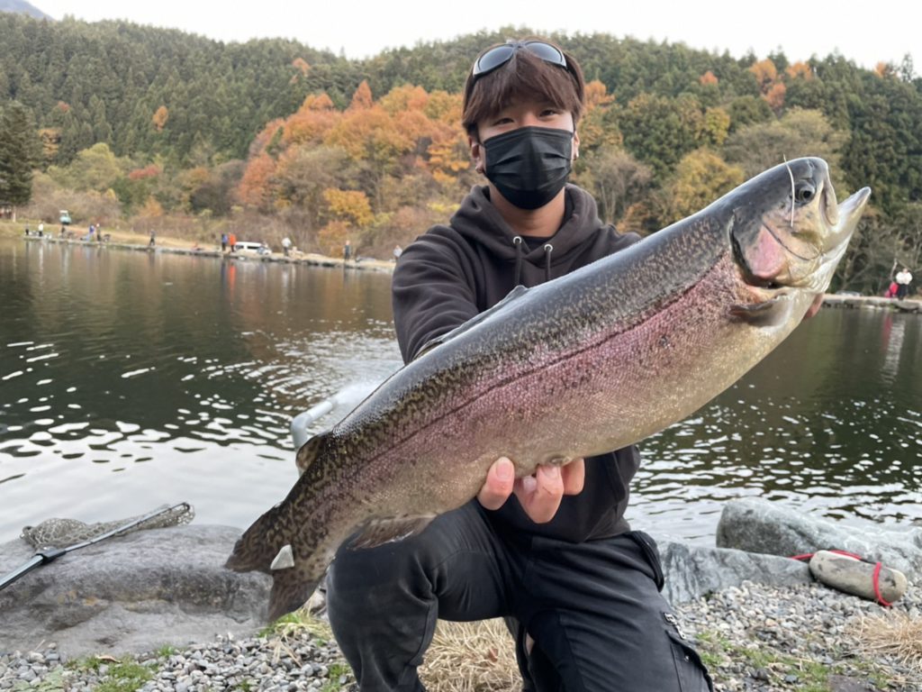 【驚ロック６１ｃｍ】全体