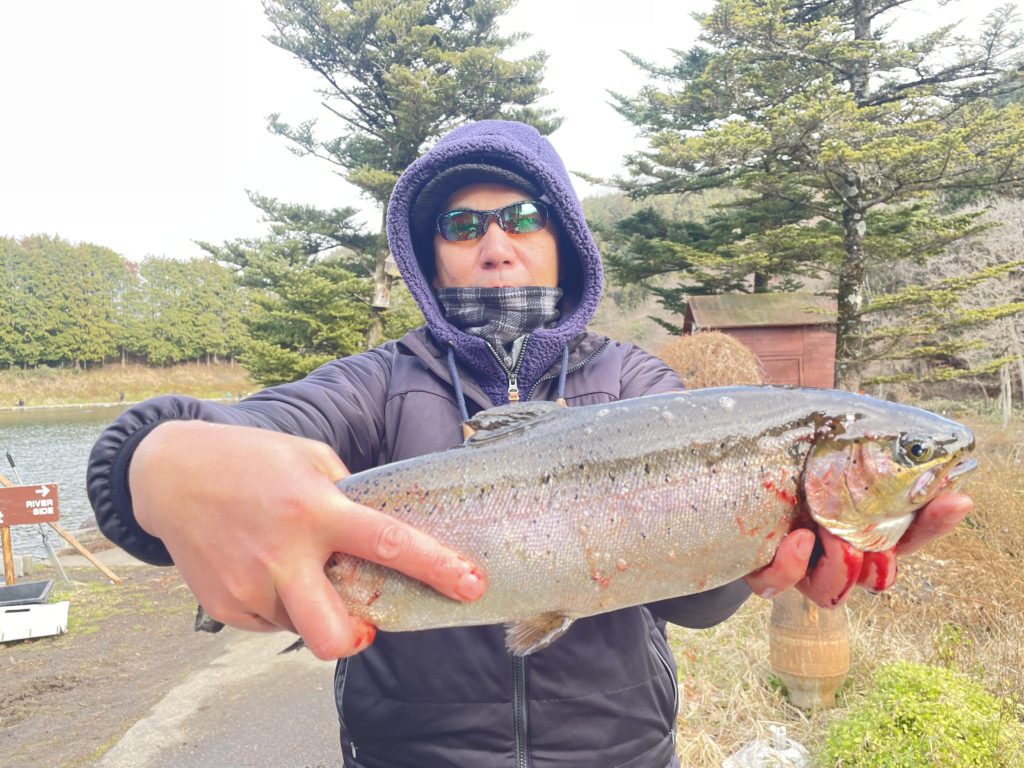 【頂鱒５０ｃｍ】全体