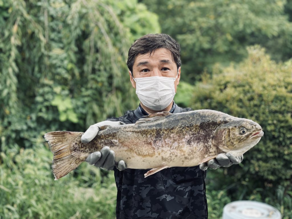 【驚ロック５２ｃｍ】全体