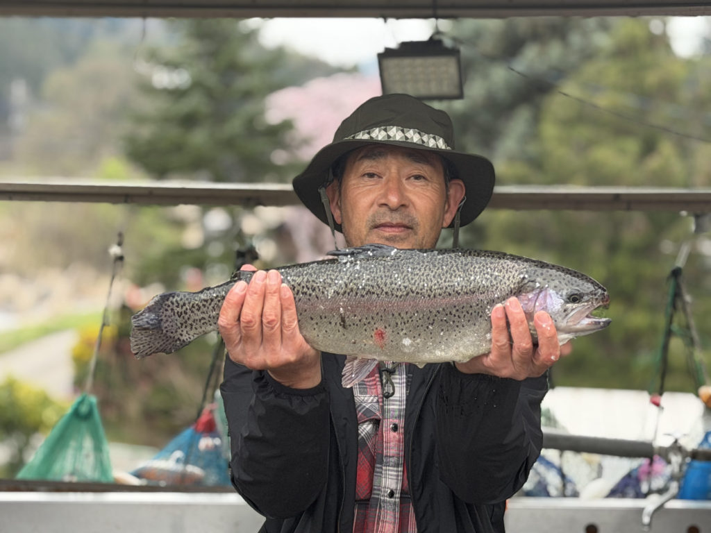 【頂鱒５９ｃｍ】全体