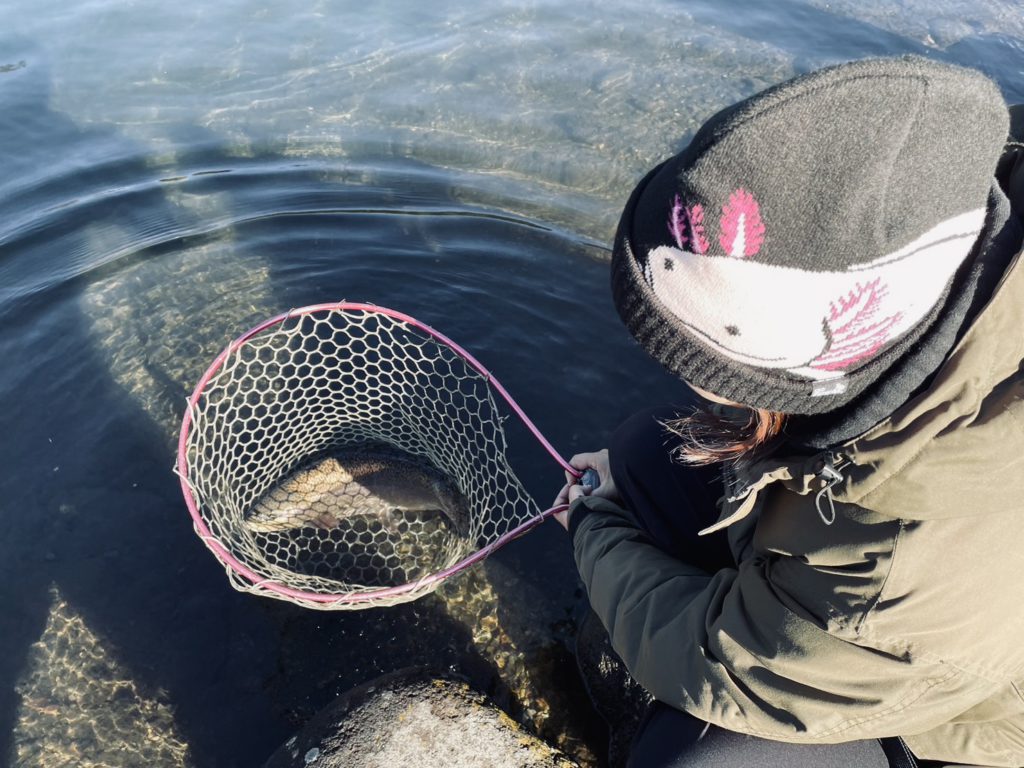 【驚ロック５５ｃｍ】全体