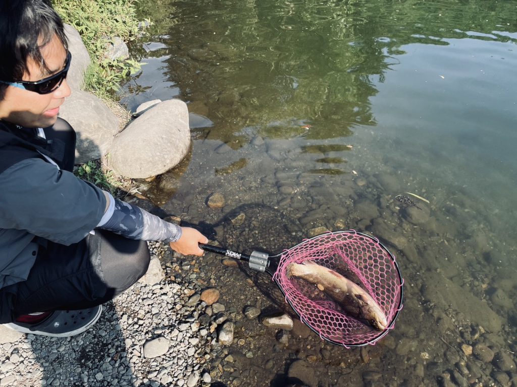 【驚ロック５６ｃｍ】全体