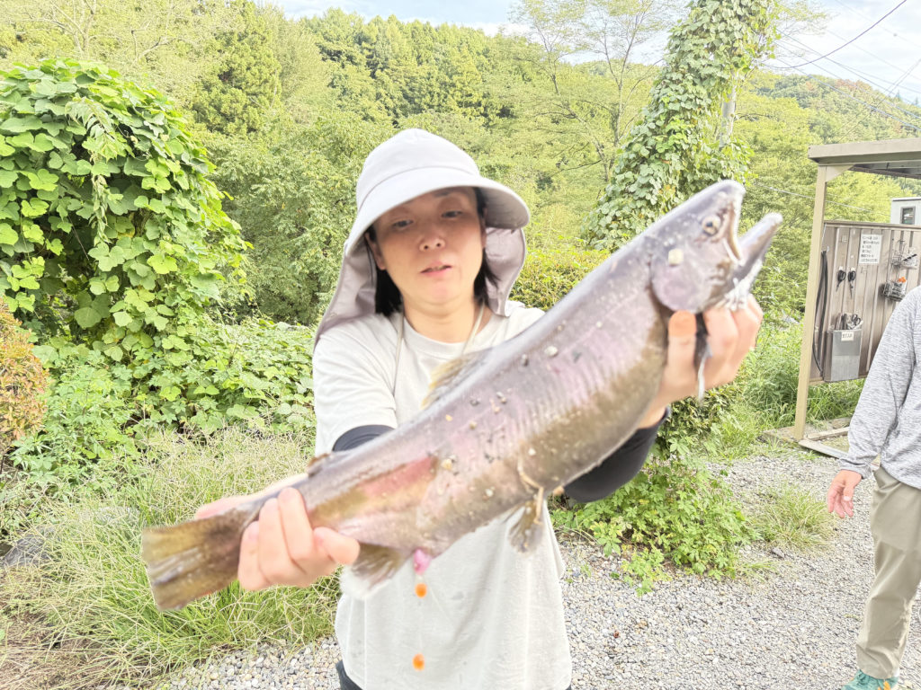 【桜来夢５２ｃｍ】全体