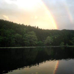 池と虹