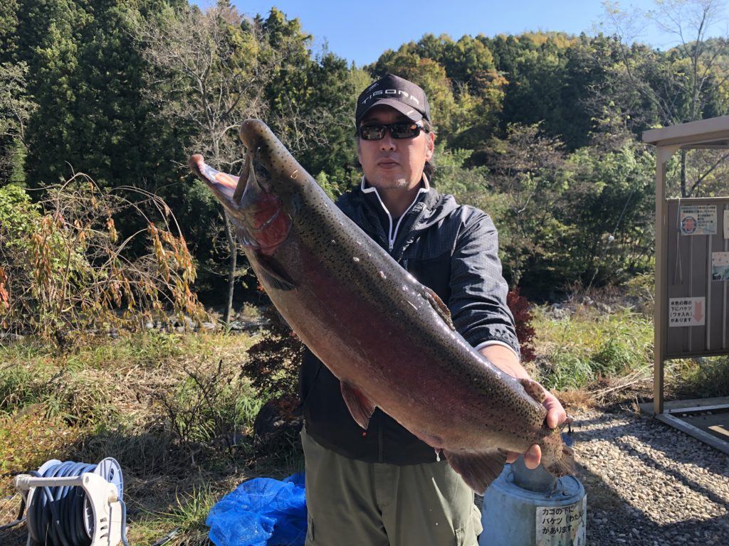 【頂鱒８３ｃｍ】全体