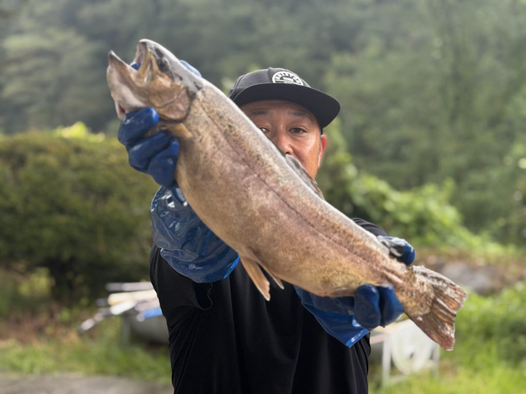 【驚ロック５６ｃｍ】全体