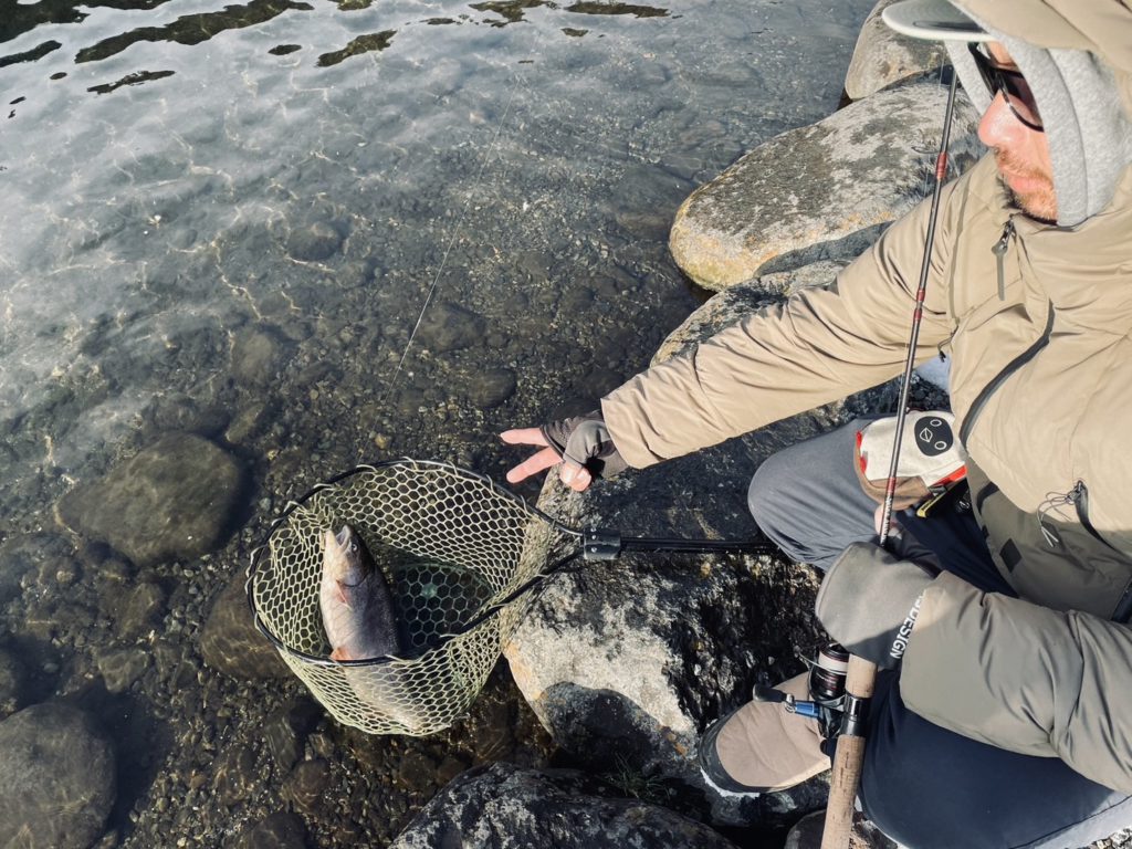 【驚ロック５４ｃｍ】全体