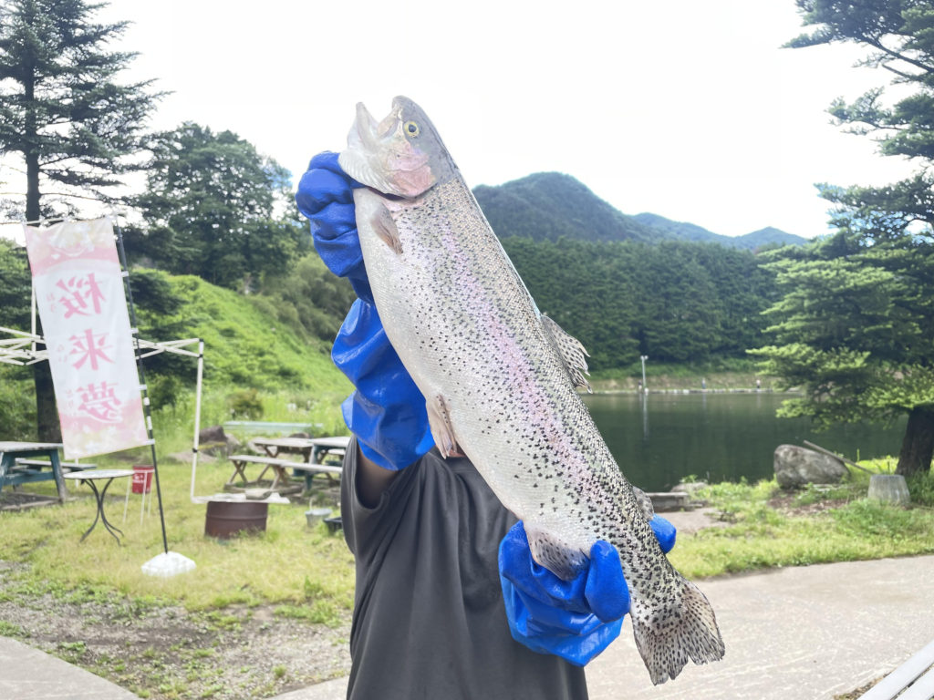 【頂鱒５５ｃｍ】全体