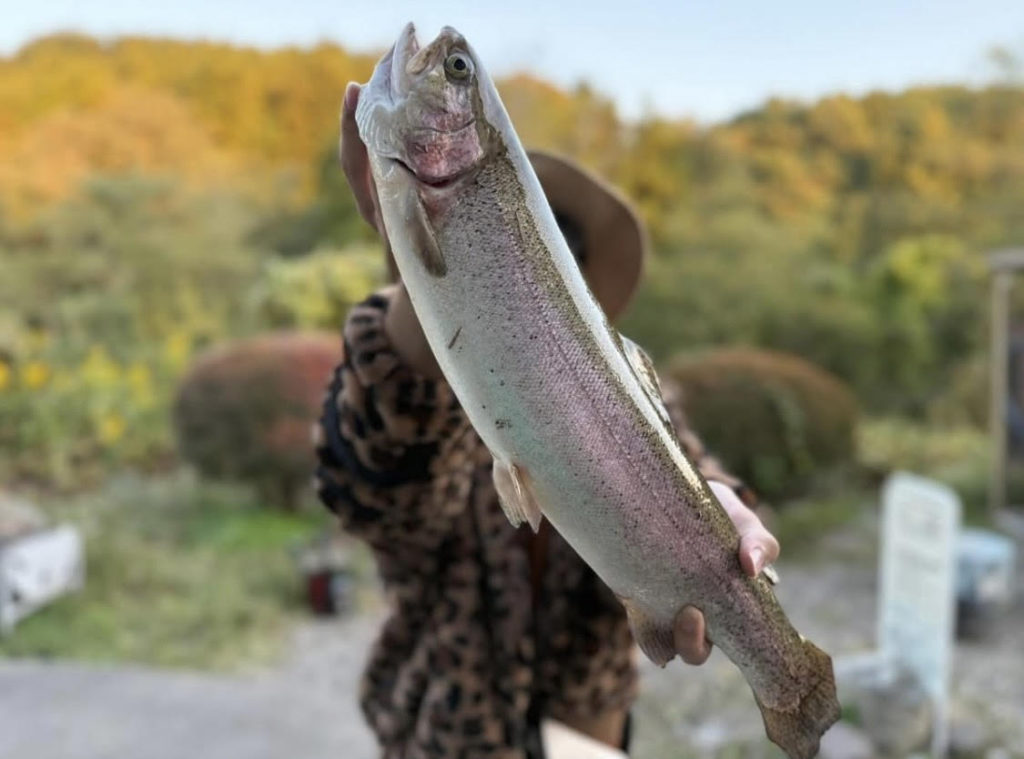 【頂鱒５１ｃｍ】全体