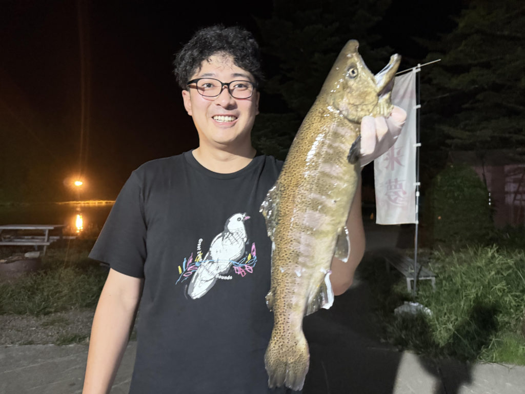 【桜来夢５０ｃｍ】全体