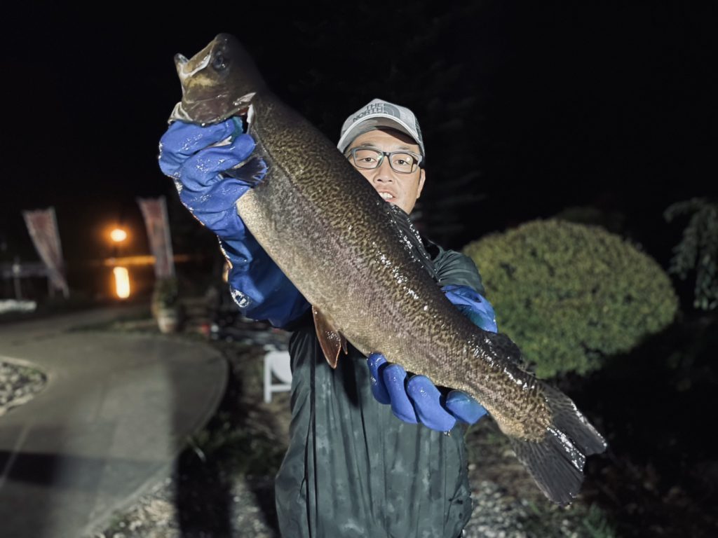 【頂鱒５６cm】全体