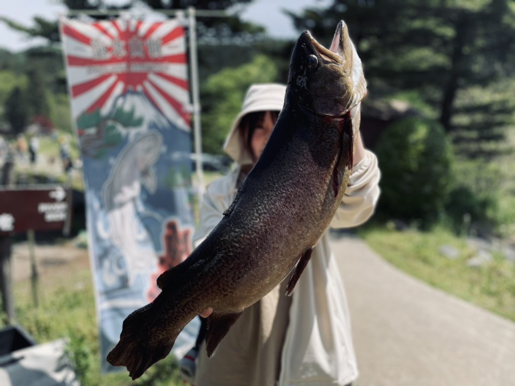 【驚ロック７０cm】全体