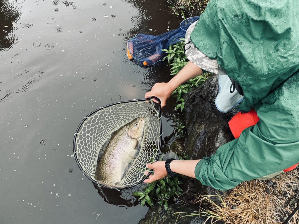 【驚ロック６６ｃｍ】全体