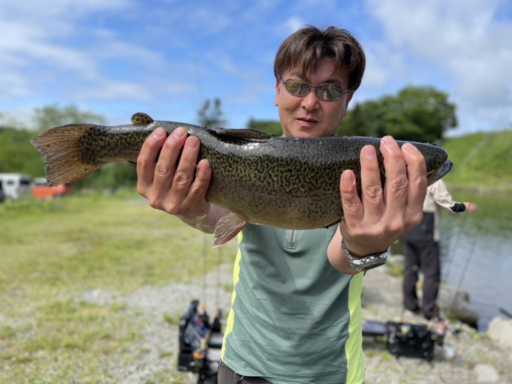 【驚ロック５４ｃｍ】全体