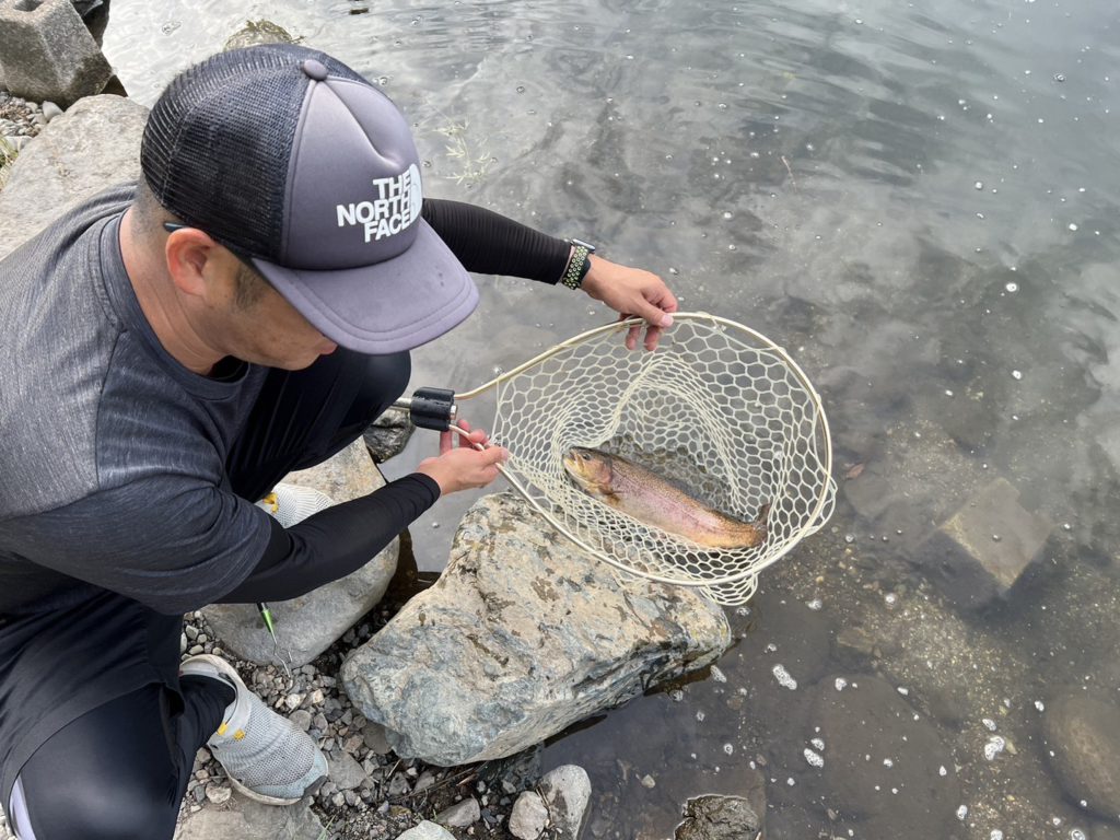 【驚ロック５３ｃｍ】全体