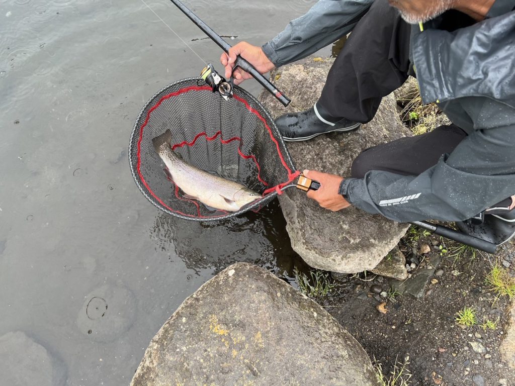 【驚ロック５５ｃｍ】全体