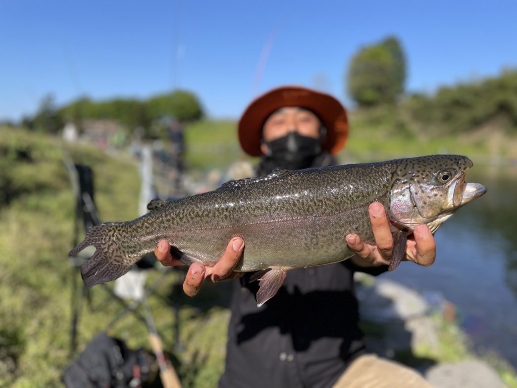 【驚ロック５３ｃｍ】全体