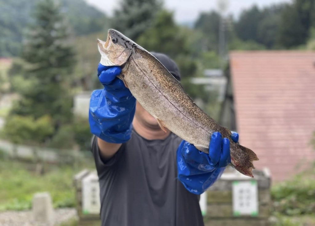 【驚ロック５１ｃｍ】全体