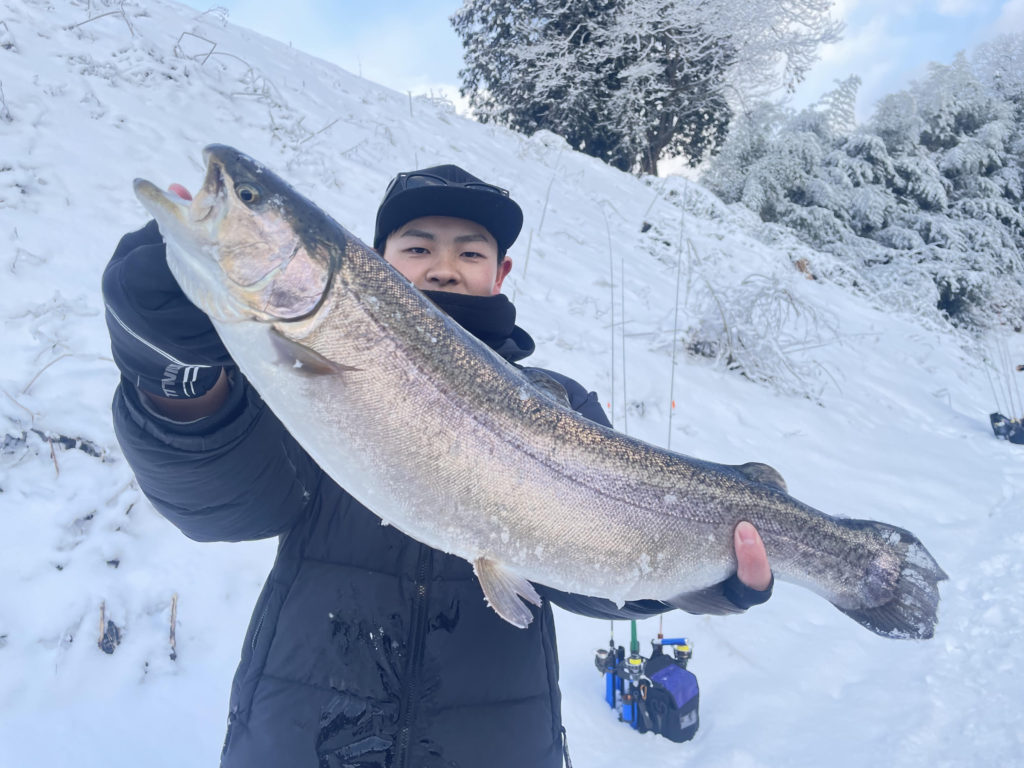 【驚ロック５５ｃｍ】全体