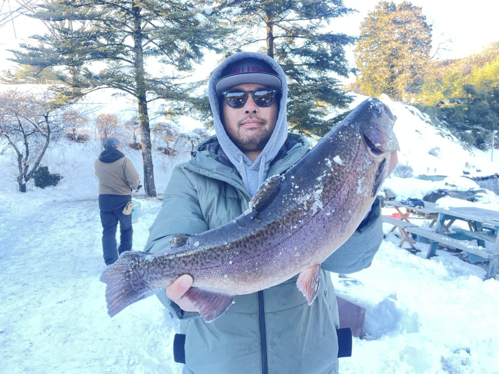 【驚ロック５５ｃｍ】全体