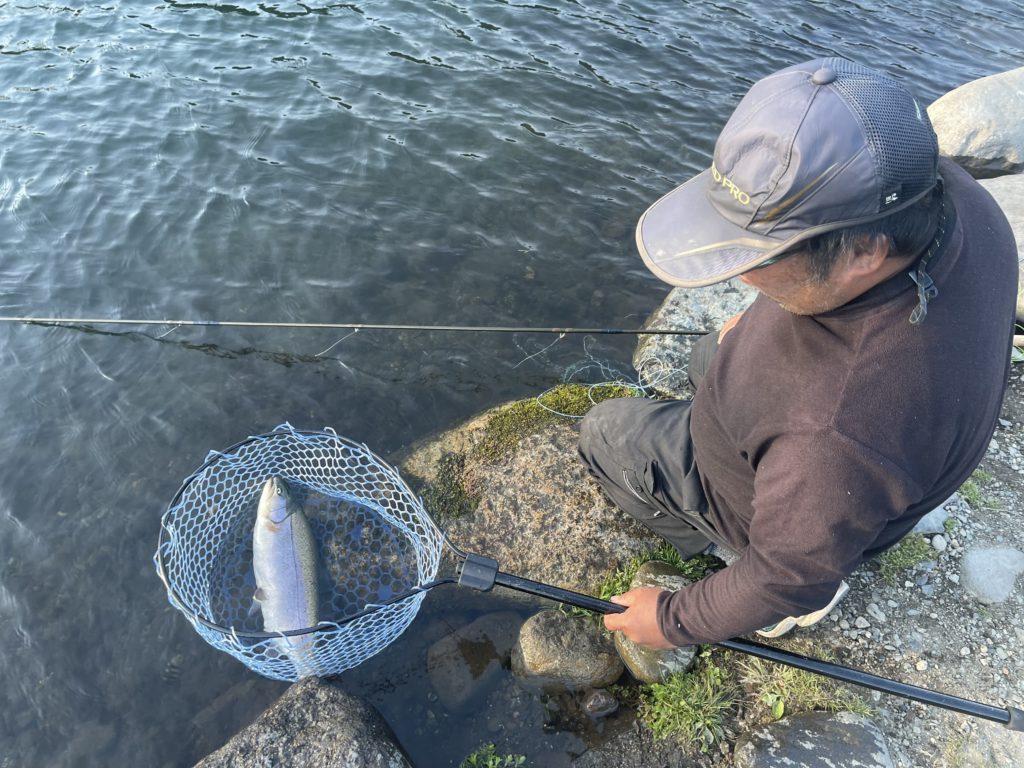 【驚ロック５３ｃｍ】全体