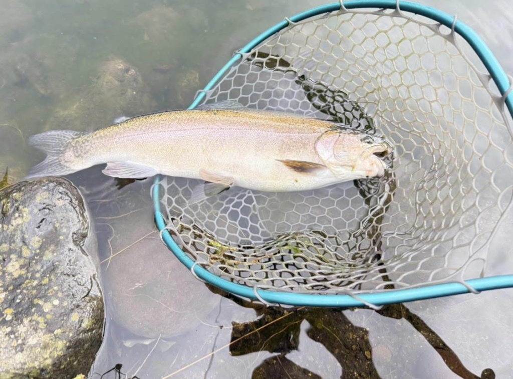 【驚ロック５３ｃｍ】全体