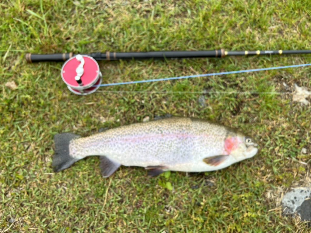 【頂鱒５３ｃｍ】全体