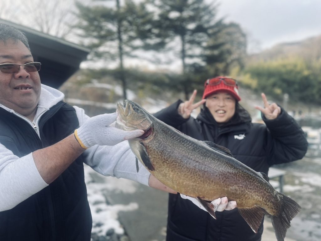 【驚ロック７２ｃｍ】全体