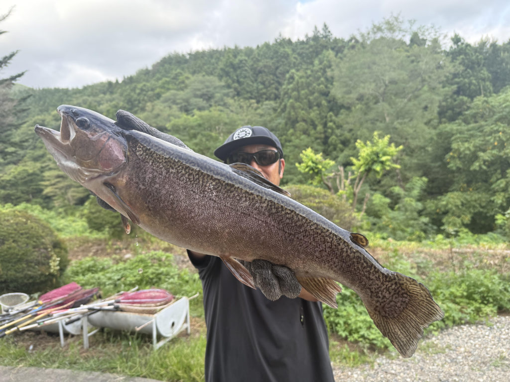 【驚ロック５９ｃｍ】全体
