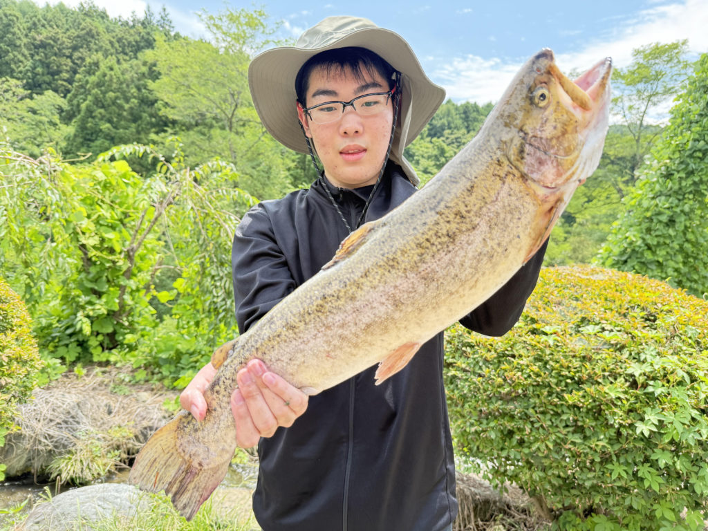 【驚ロック５９ｃｍ】全体