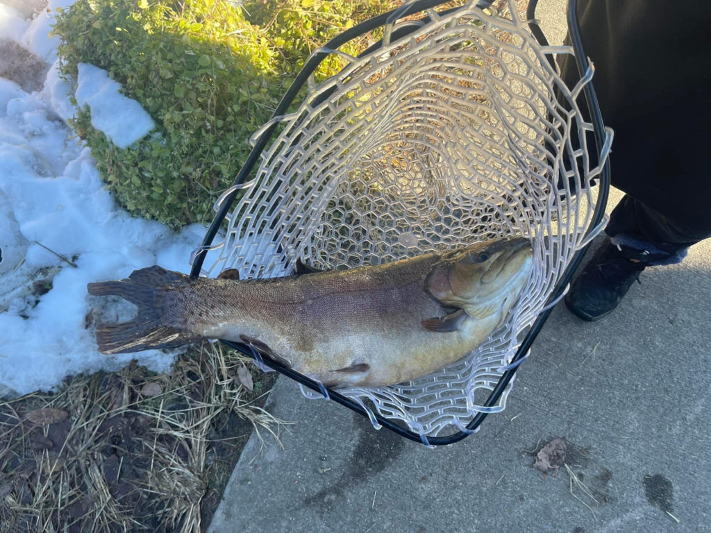 【驚ロック６８ｃｍ】全体