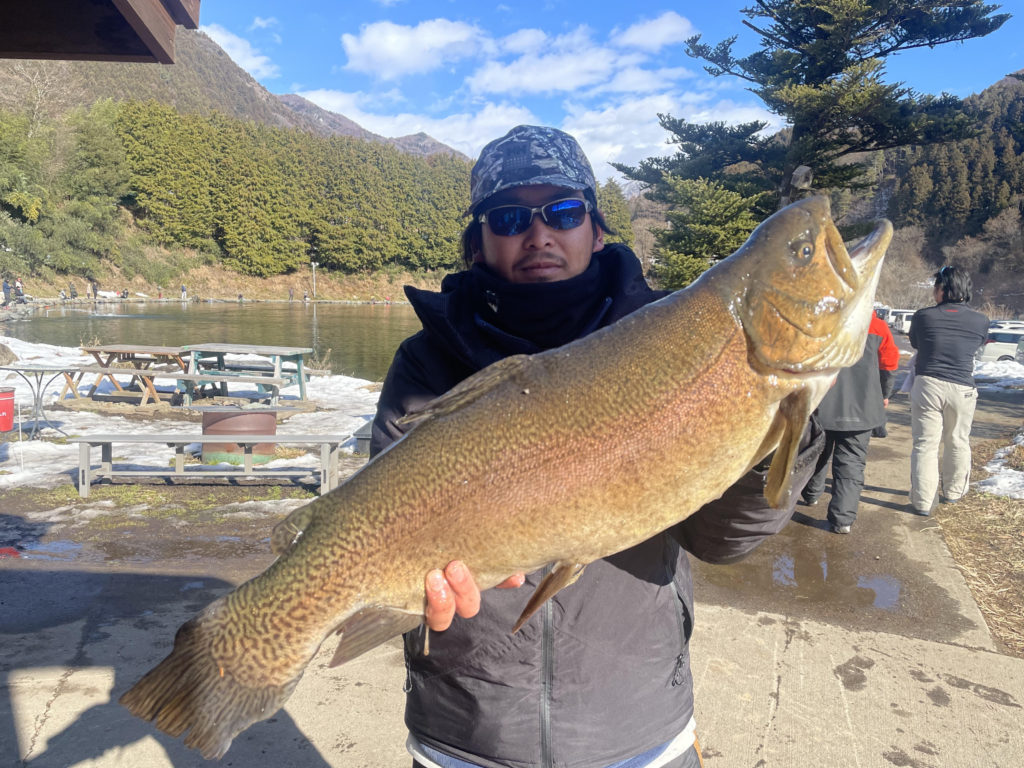 【驚ロック７２ｃｍ】全体