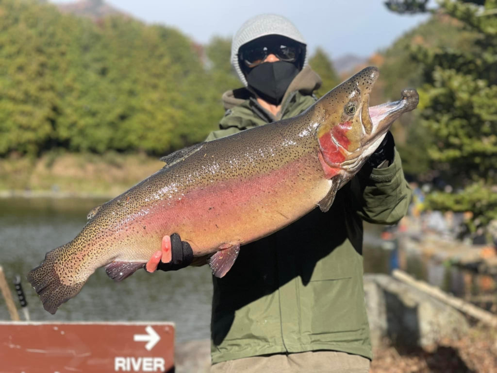 【頂鱒８６ｃｍ】全体