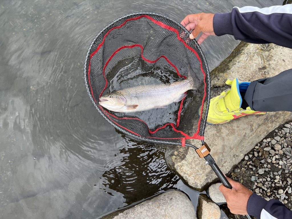 【驚ロック５７ｃｍ】全体