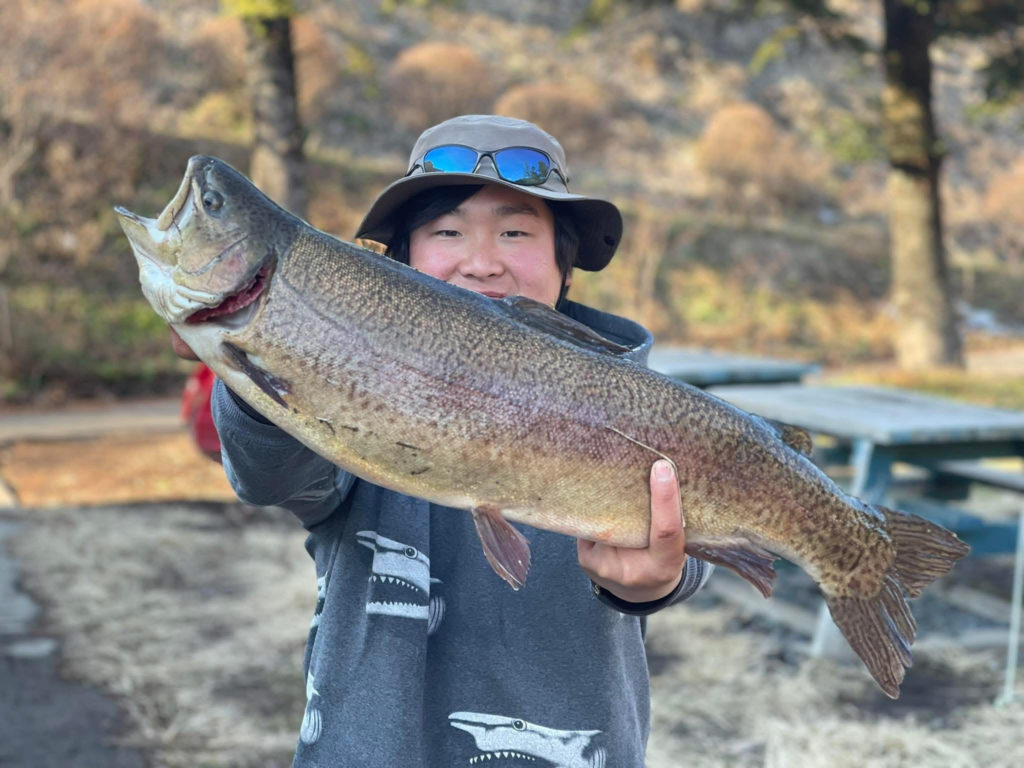 【驚ロック６８ｃｍ】全体