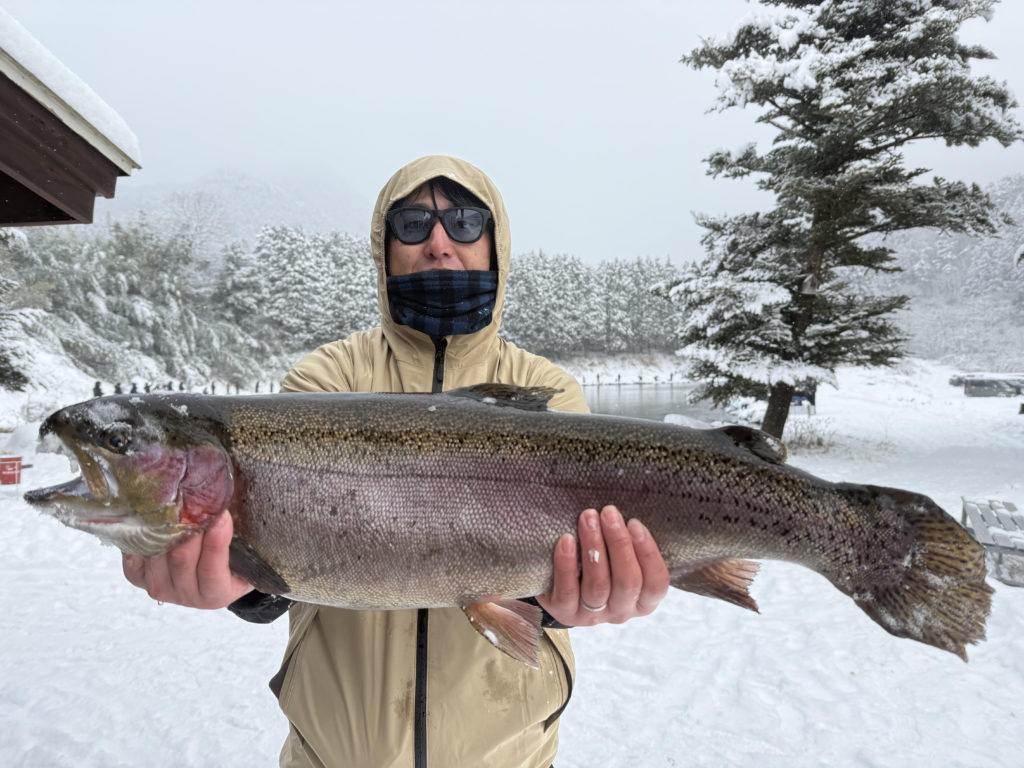 【頂鱒７２ｃｍ】全体