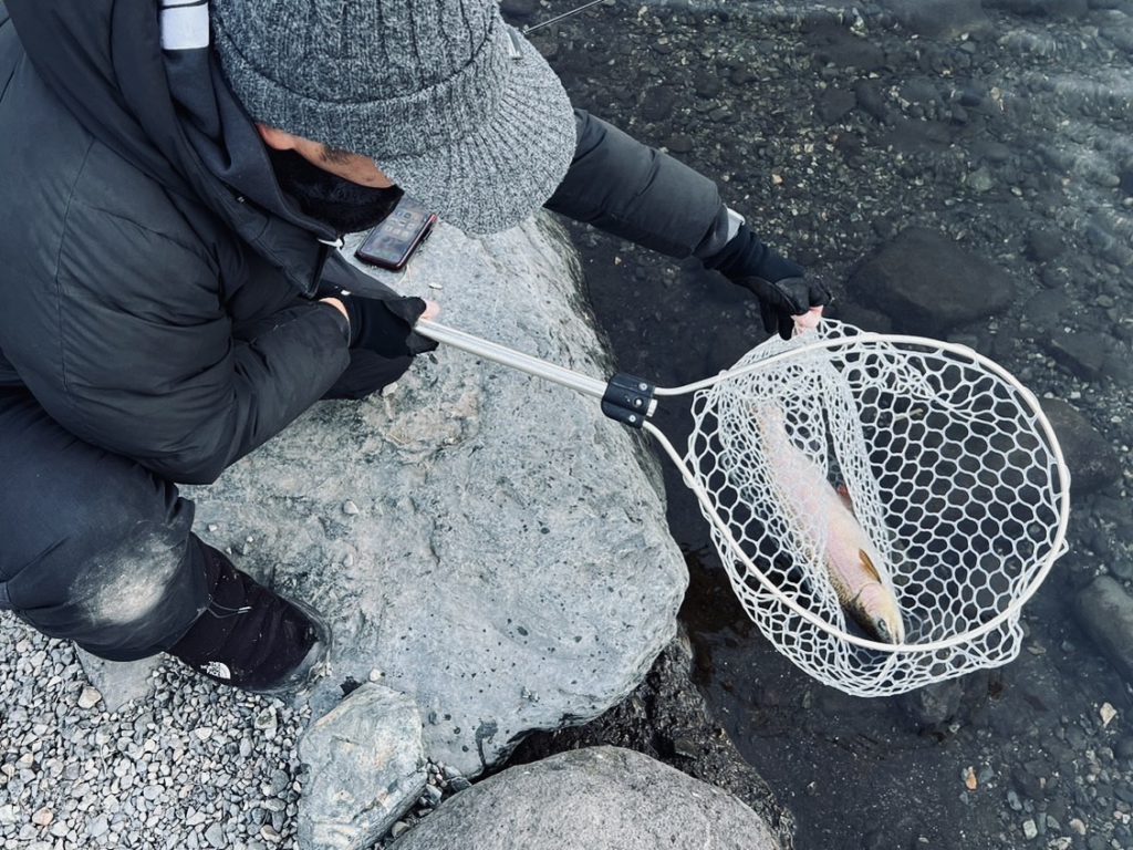 【驚ロック５１ｃｍ】全体