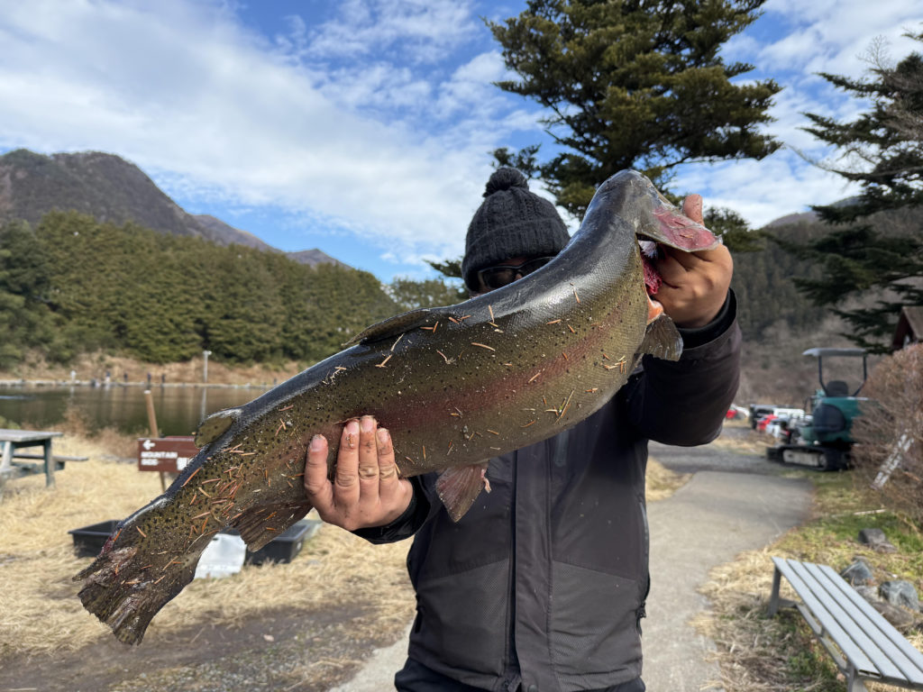 【頂鱒８３ｃｍ】全体